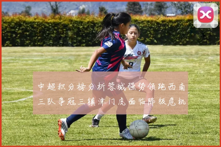 中超积分榜分析蓉城强势领跑西南三队争冠三镇津门虎面临降级危机